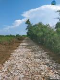 mảnh đất giá chỉ 100tr/lô mua để tích lũy lâu dài ở Pleiku