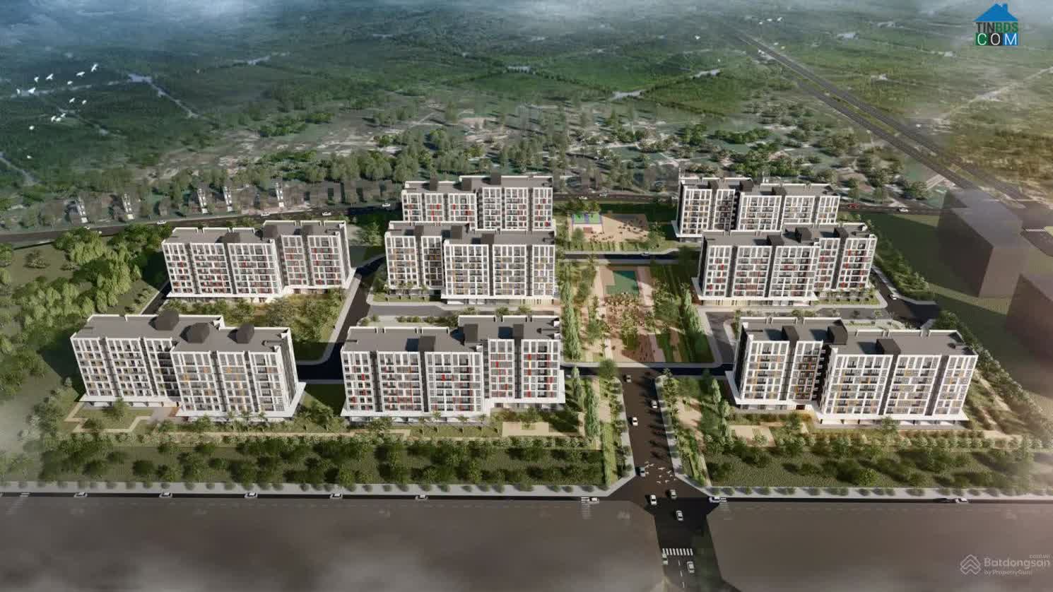 Ảnh Green Nestera 0