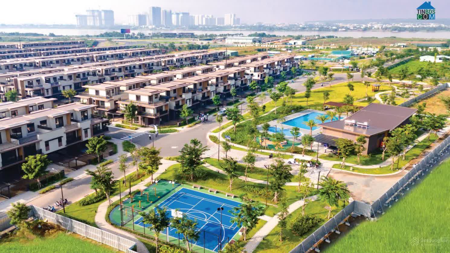 Ảnh Izumi Gardenia 0