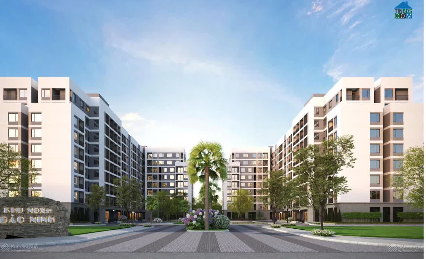 Ảnh Nhà ở xã hội Bảo Ninh 1 0