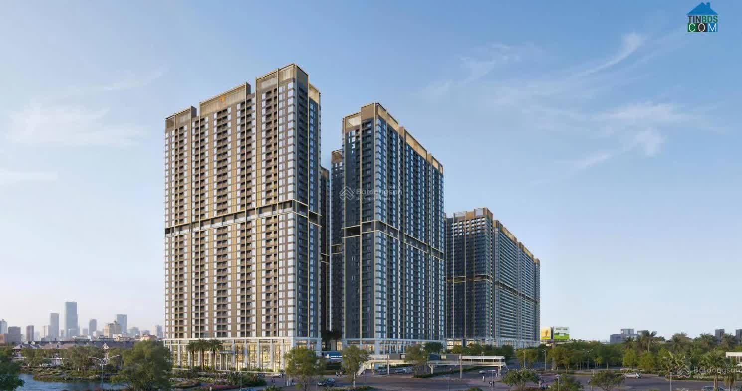 Ảnh The Flame Vine 0