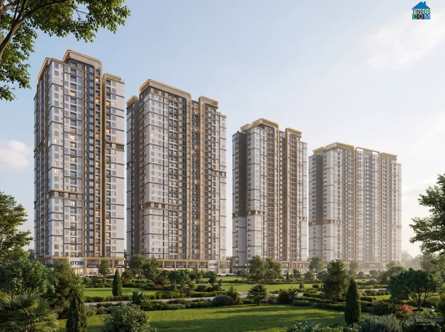 Ảnh Marquee Homes 0