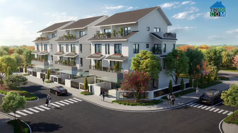 Ảnh Biệt thự song lập Azalea Homes 0