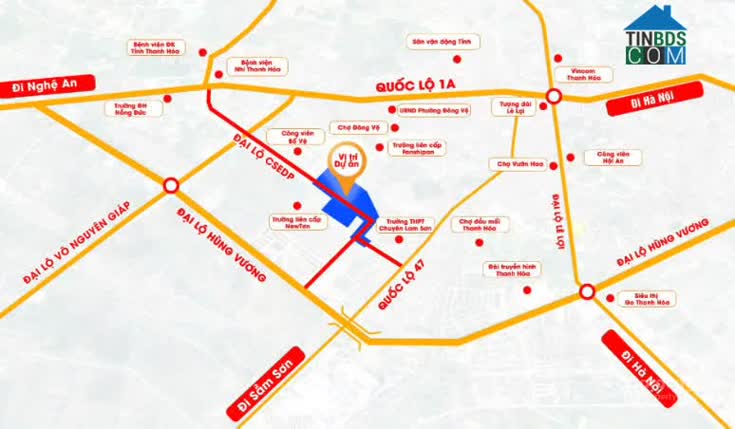 Ảnh CSEDP Lotus 1