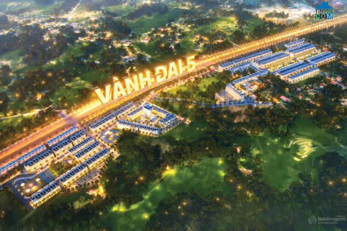 Ảnh Tùng Linh Peaceful 1