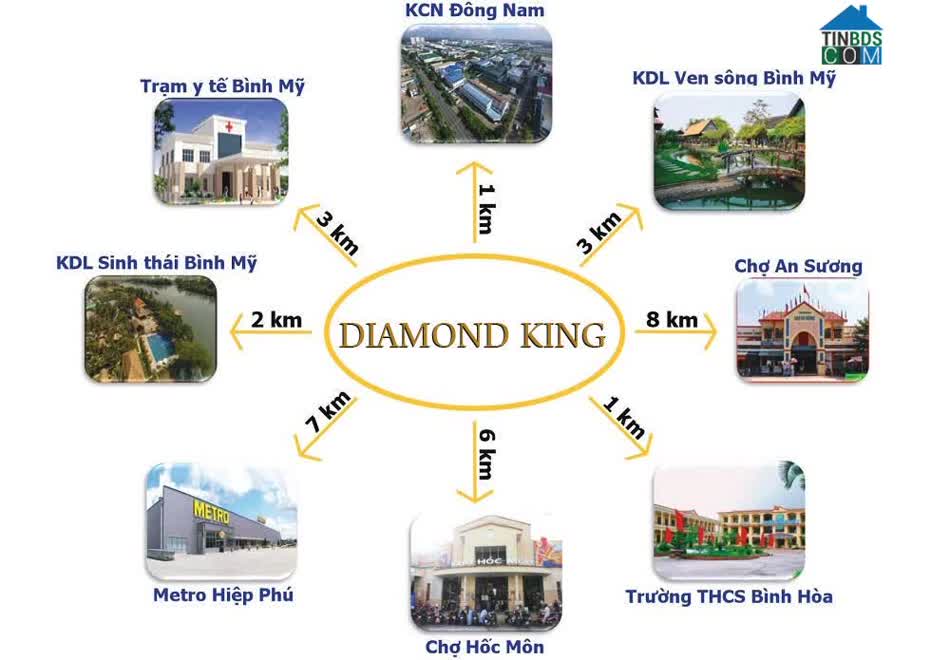 Ảnh Diamond King 1