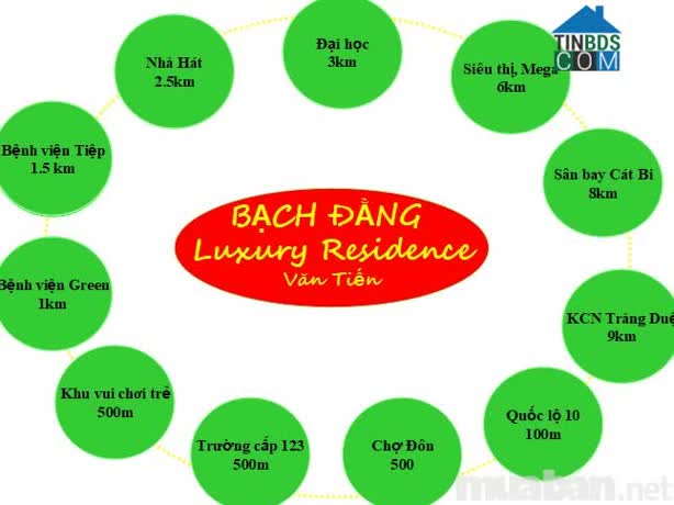 Ảnh Bạch Đằng Luxury Residence 1