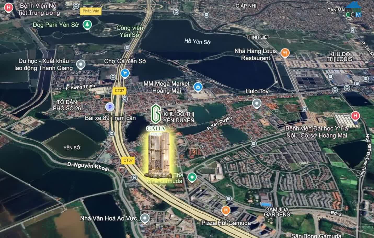 Ảnh Galia Hanoi 1