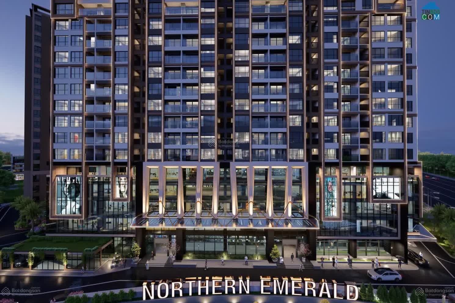 Ảnh Northern Emerald 1