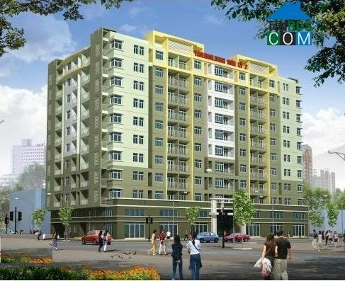 Ảnh dự án TaniBuilding Sơn Kỳ 2