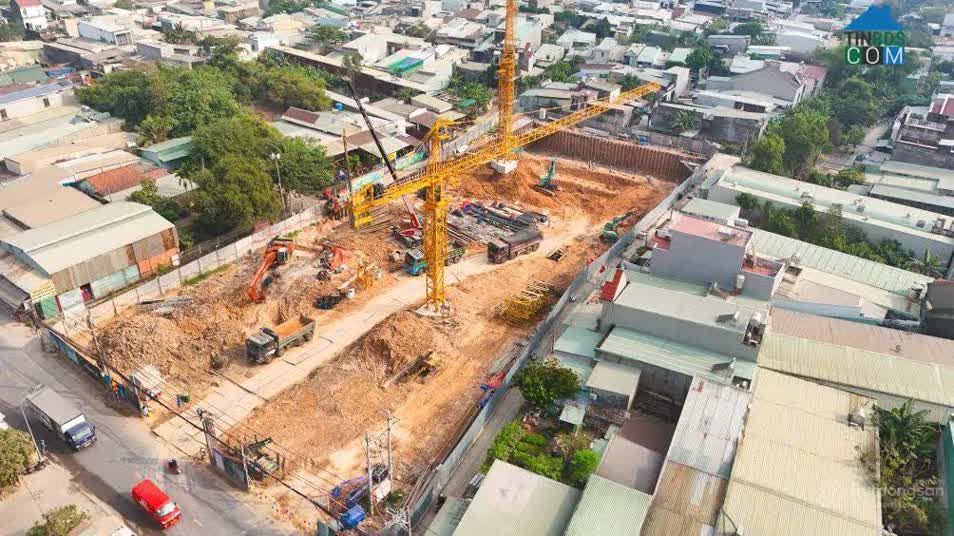 Ảnh Fenica 10