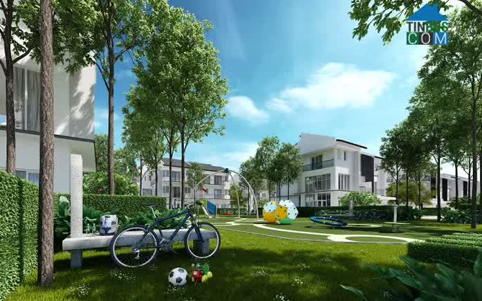 Ảnh Evelyne Gardens - ParkCity Hà Nội 10