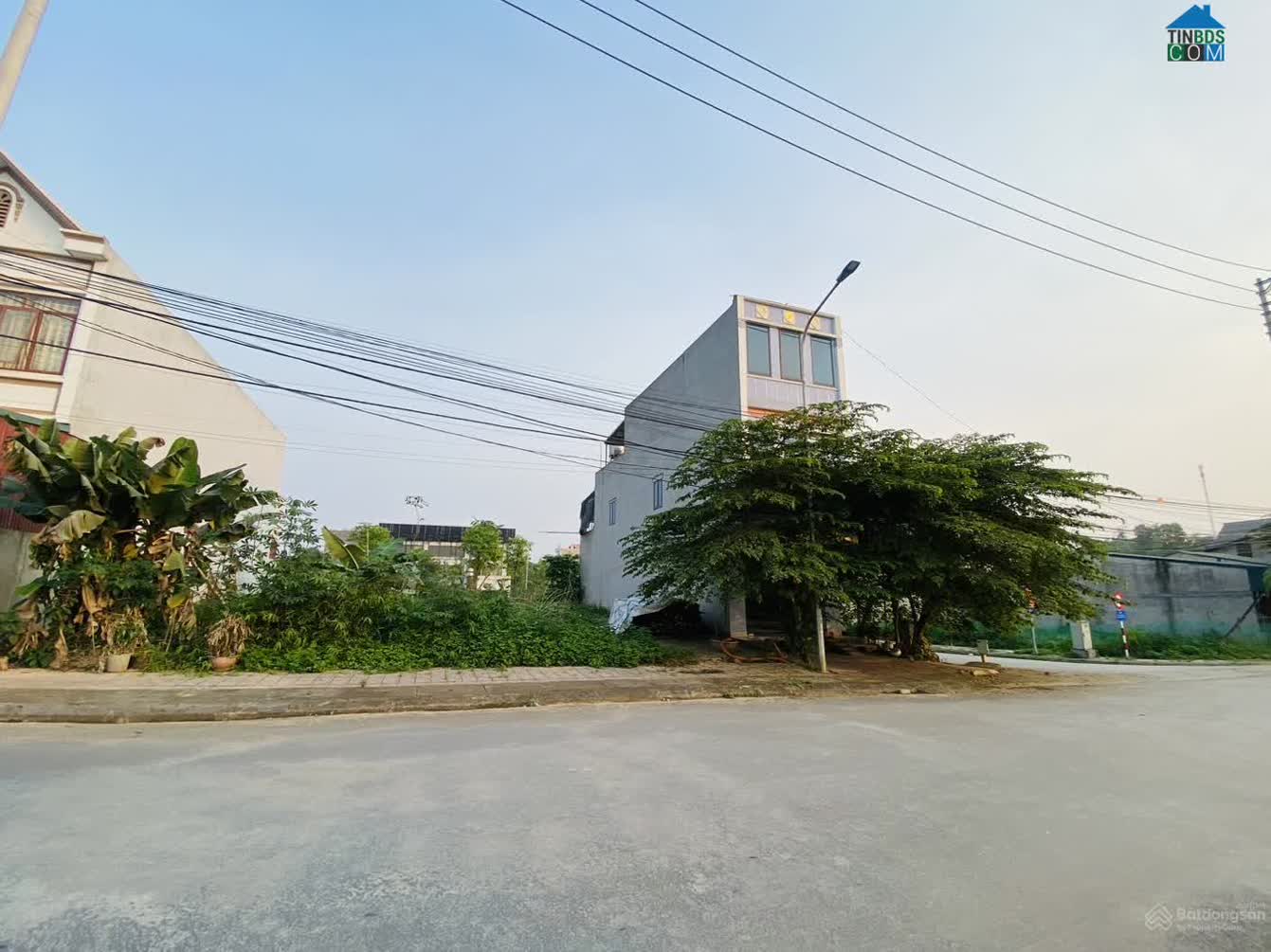 Ảnh Ruby Garden 10
