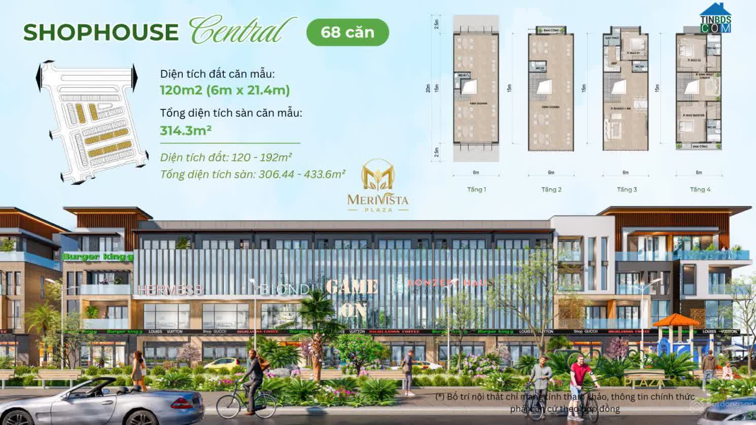 Ảnh Merivista 11