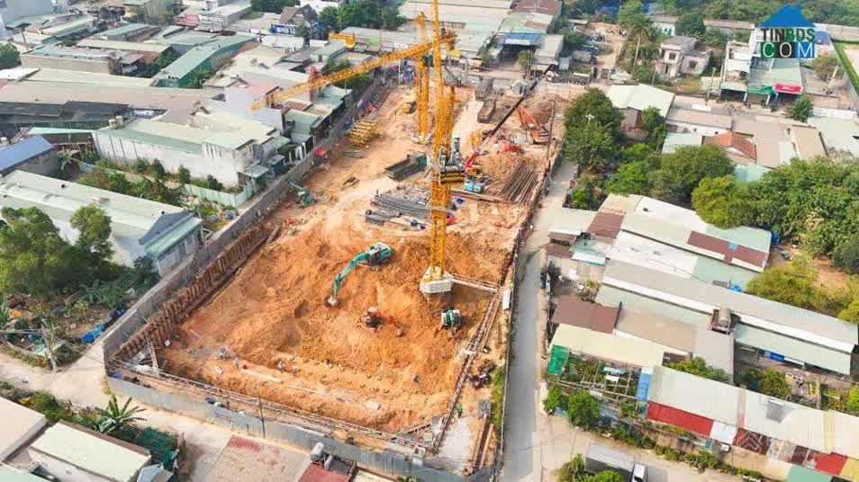 Ảnh Fenica 11