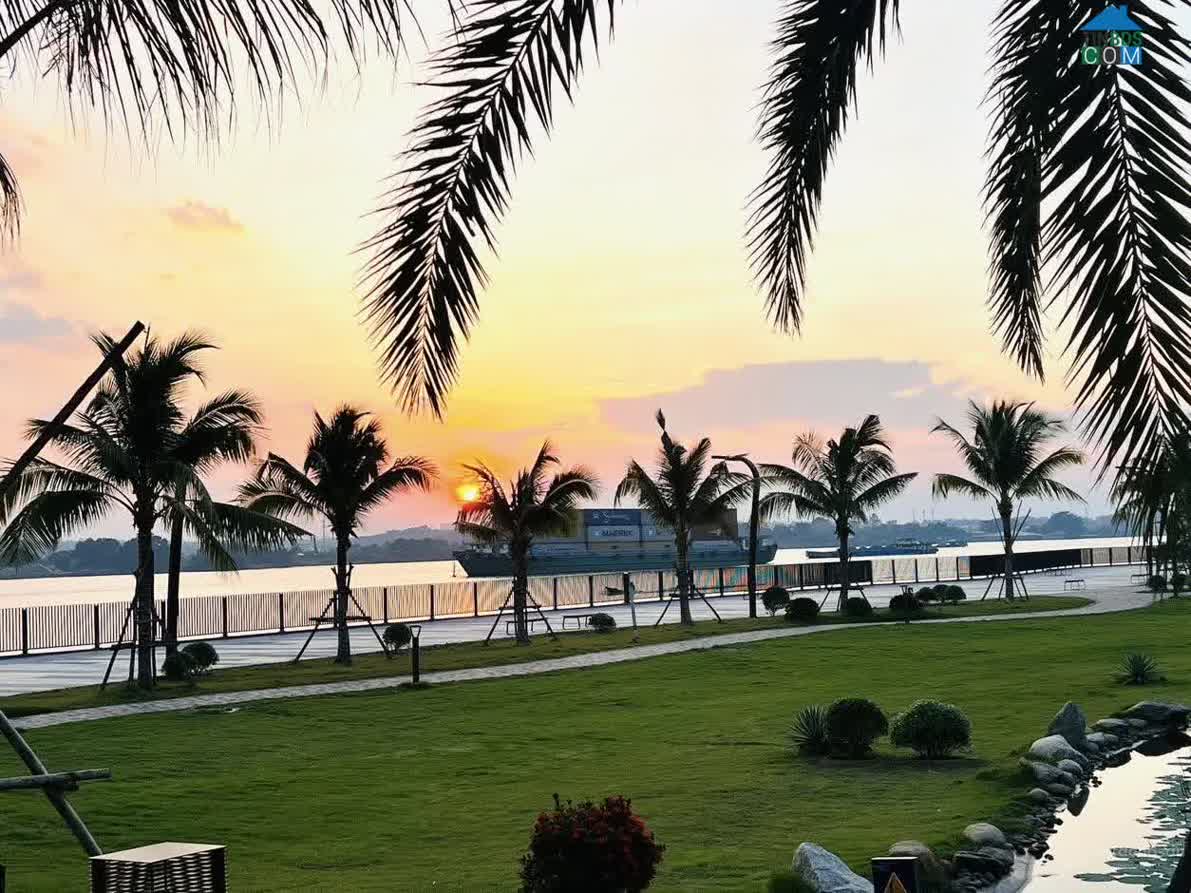 Ảnh Izumi Gardenia 12