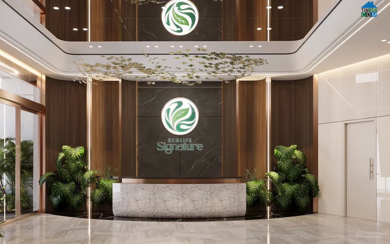 Ảnh Ecolife Signature 12