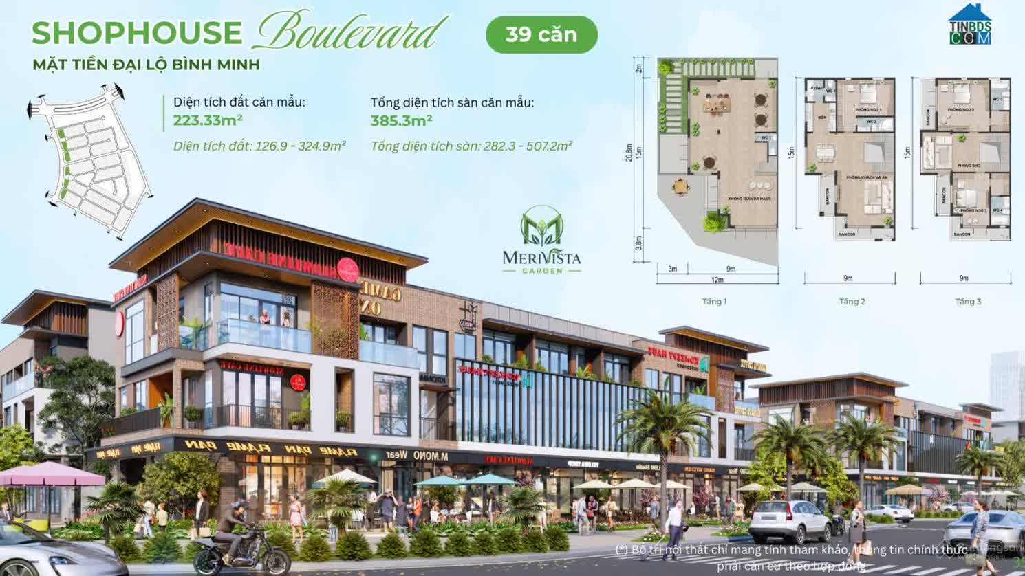 Ảnh Merivista 12