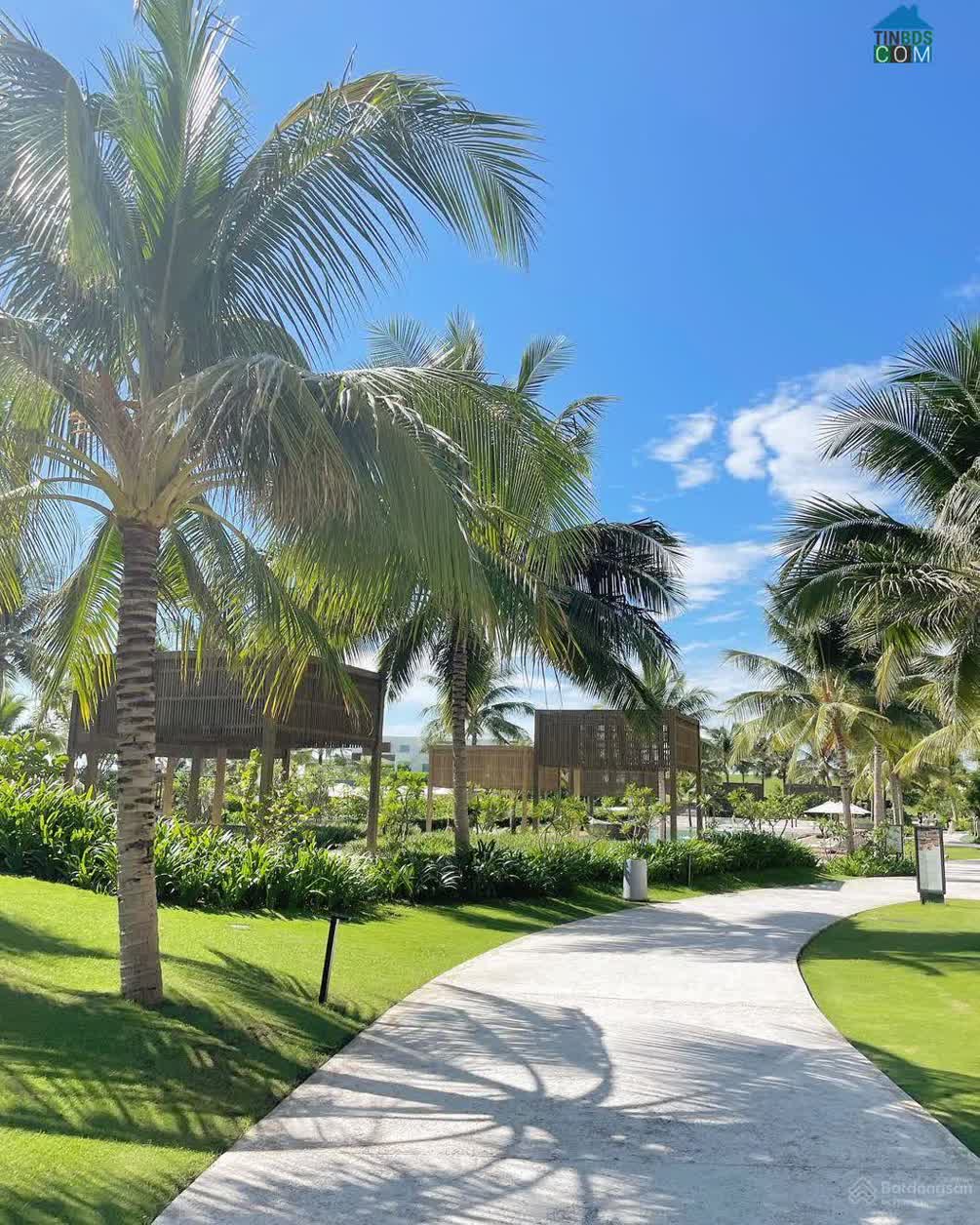 Ảnh ALMA Resort Cam Ranh 12
