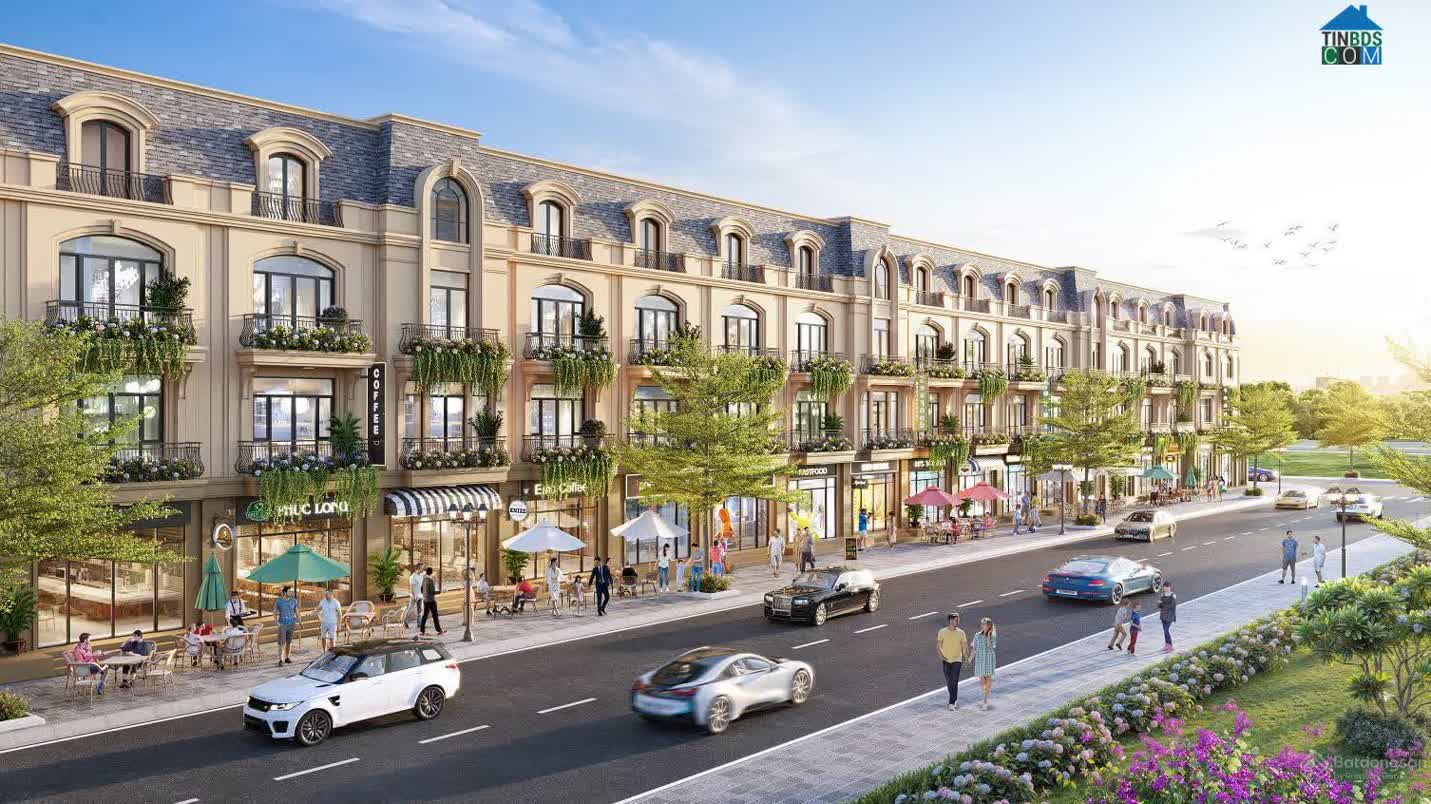Ảnh Alluvia City 12