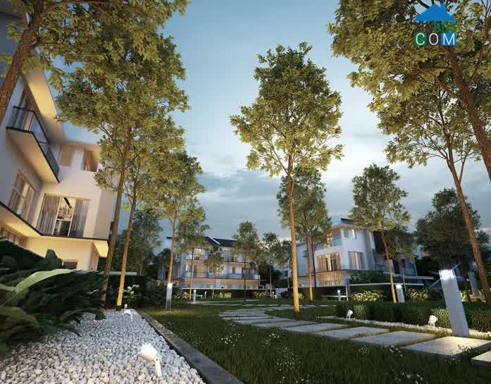 Ảnh Evelyne Gardens - ParkCity Hà Nội 12