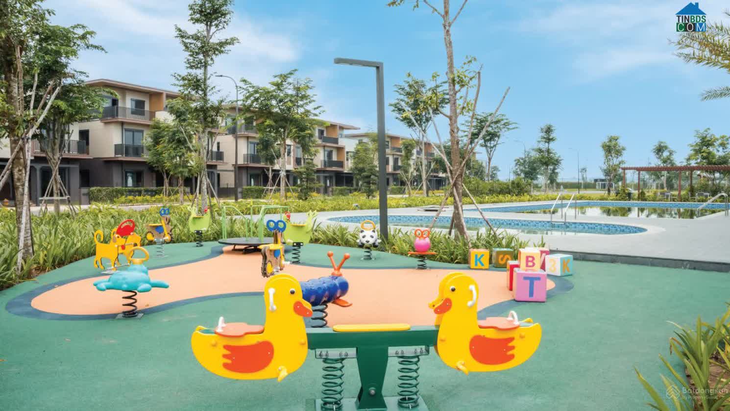 Ảnh Izumi Gardenia 13