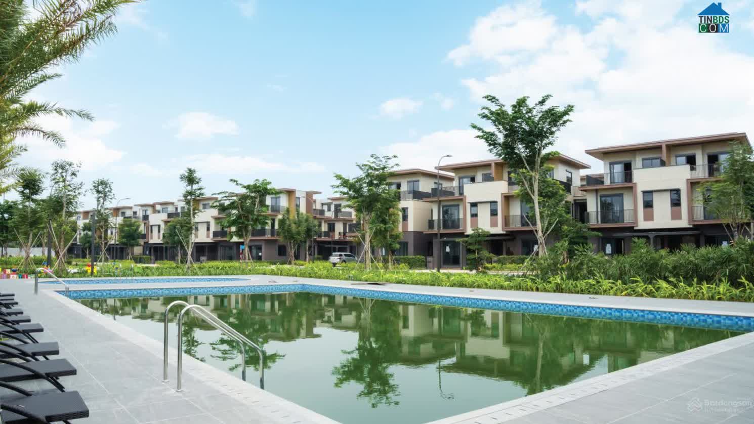 Ảnh Izumi Gardenia 15