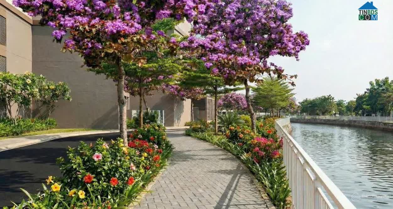 Ảnh Mường Thanh Phú Hữu 15