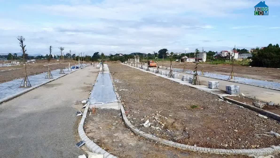 Ảnh Central Avenue Lục Nam 15