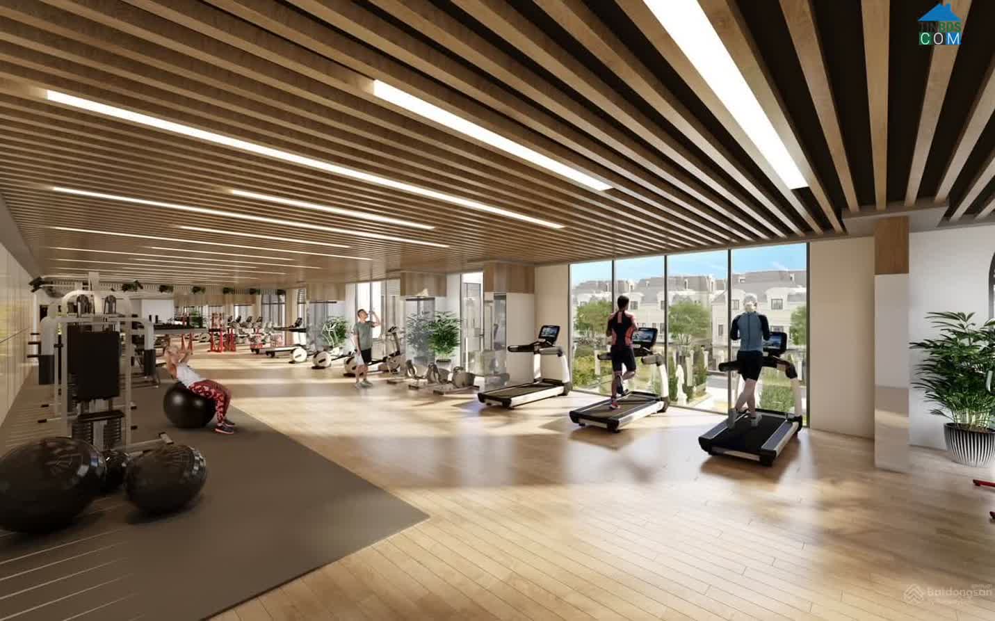 Ảnh Moonlight 2 - An Lạc Green Symphony 15