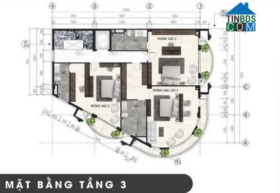 Ảnh Phố thương mại Royal - Vạn Phúc City 17