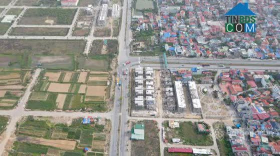 Ảnh Aurora Harbour Nam Hải 17