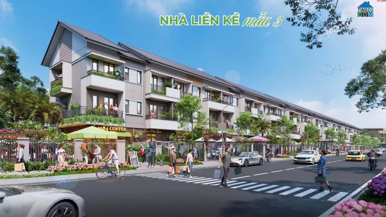 Ảnh Merivista 18