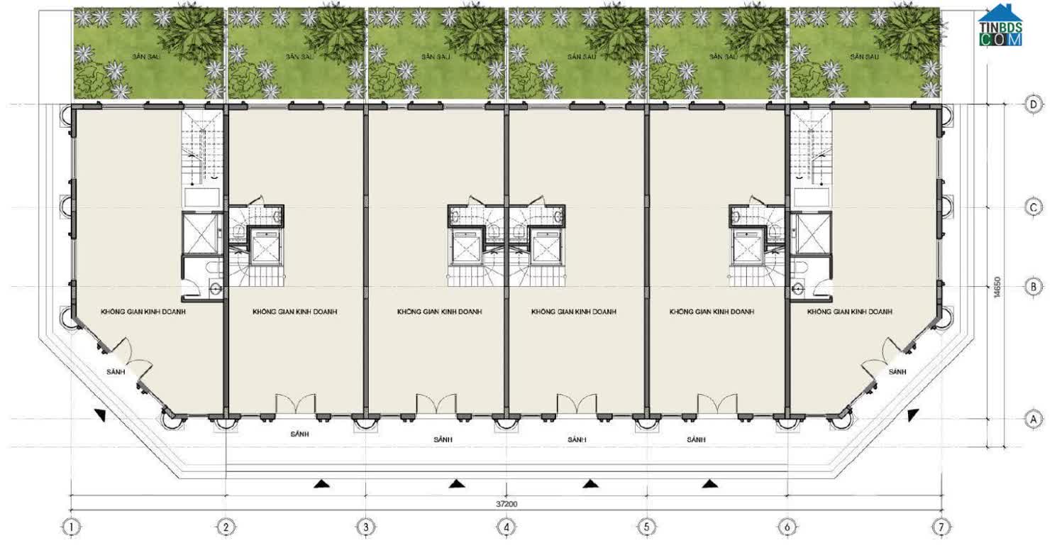 Ảnh Alluvia City 18