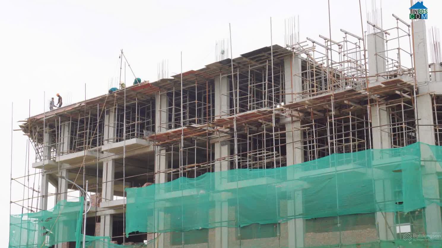 Ảnh Phương Sơn Diamond 19