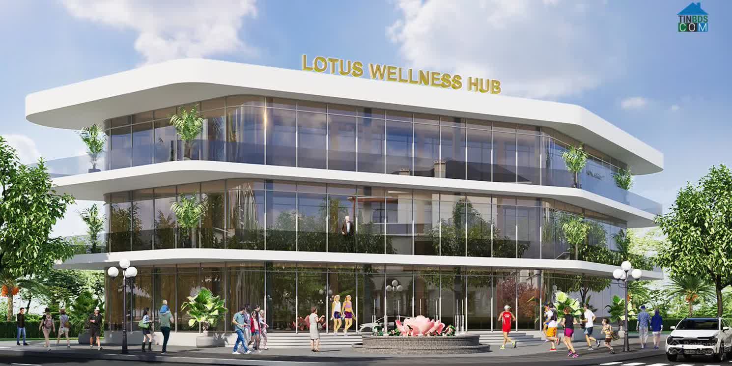 Ảnh Dream Garden City 2