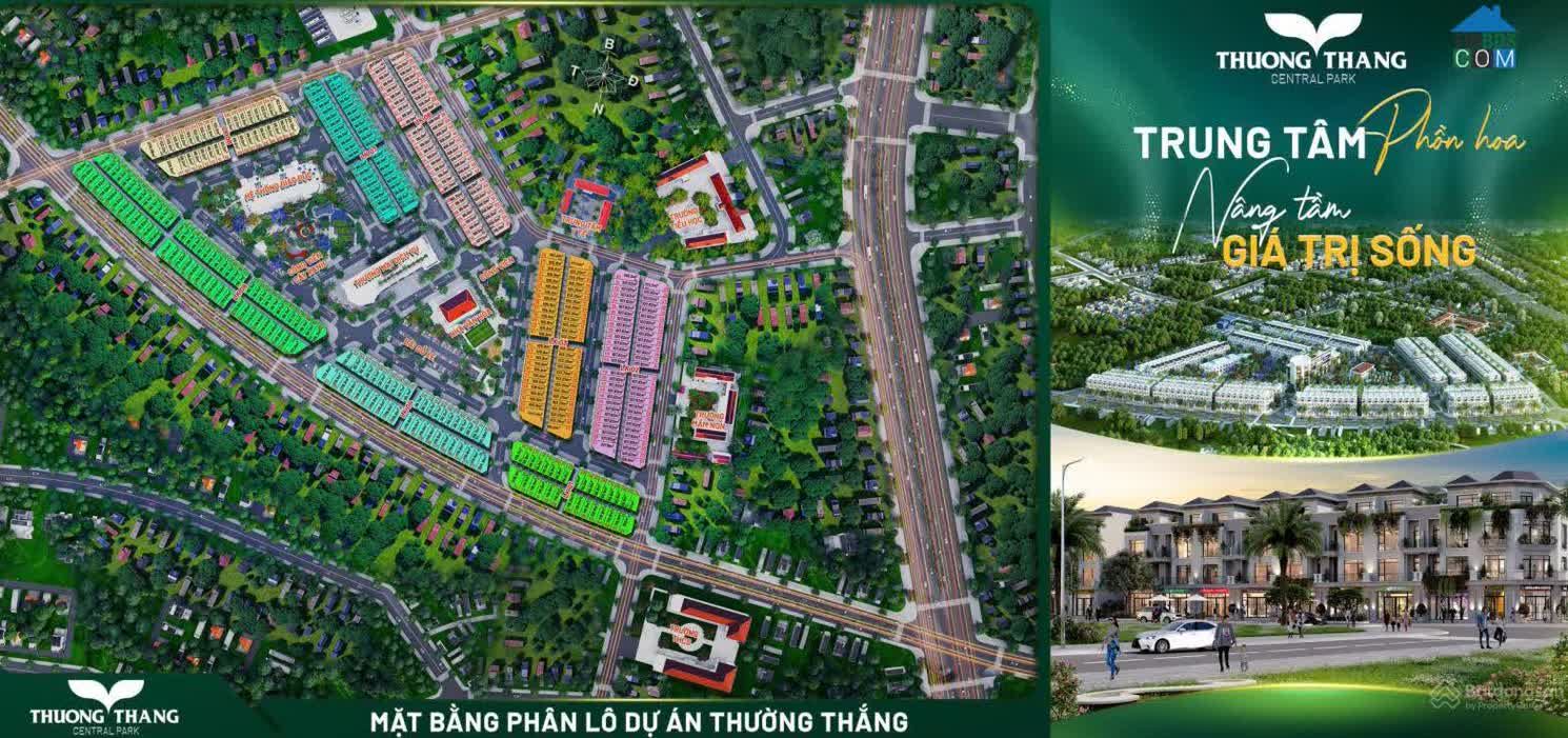 Ảnh Thường Thắng Central Park 2