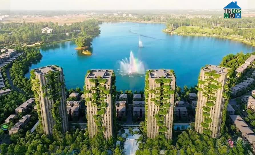 Ảnh Forest Onsen 2