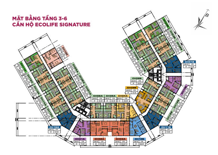 Ảnh Ecolife Signature 2