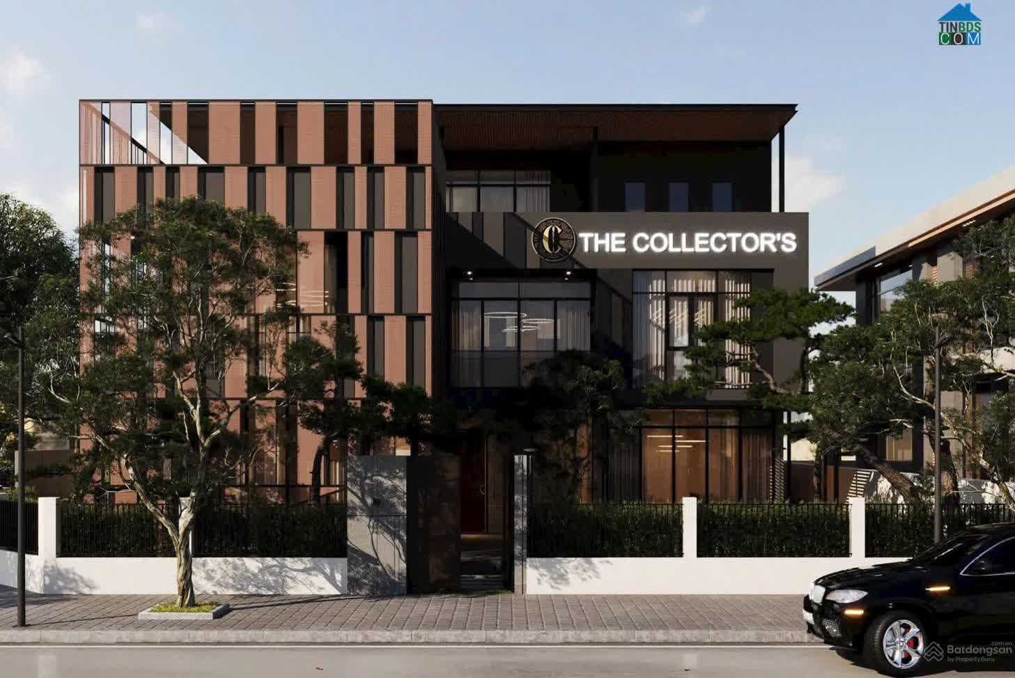 Ảnh dự án The Collectors' 2