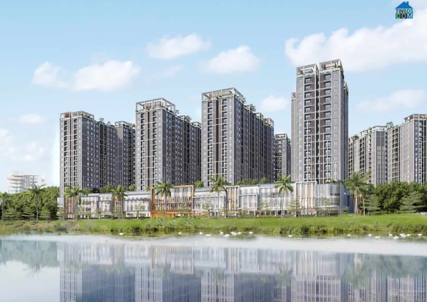 Ảnh Solcenter Nhơn Phú 2