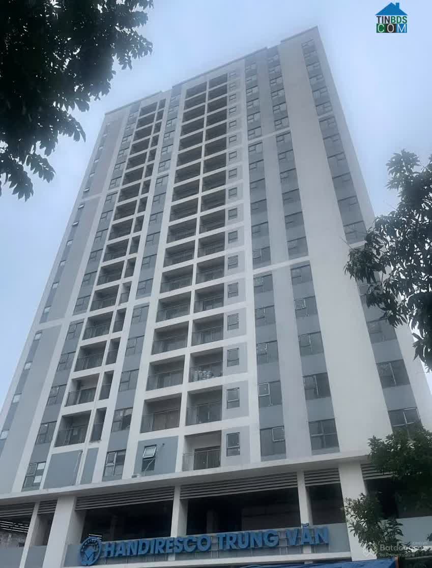 Ảnh Handiresco Trung Văn 2