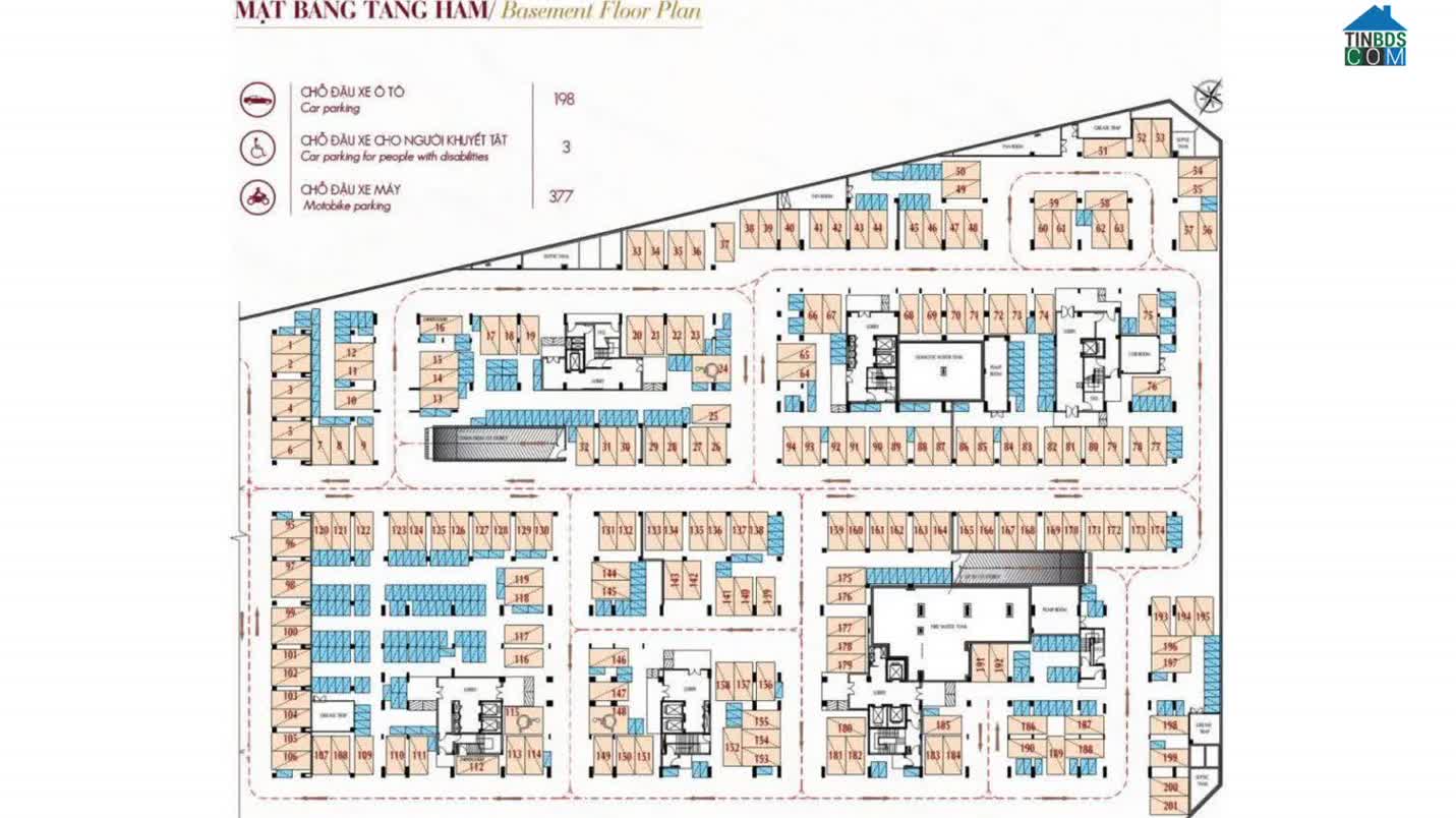 Ảnh The Symphony 2