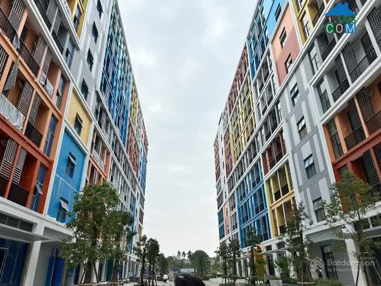 Ảnh Art Residence 20