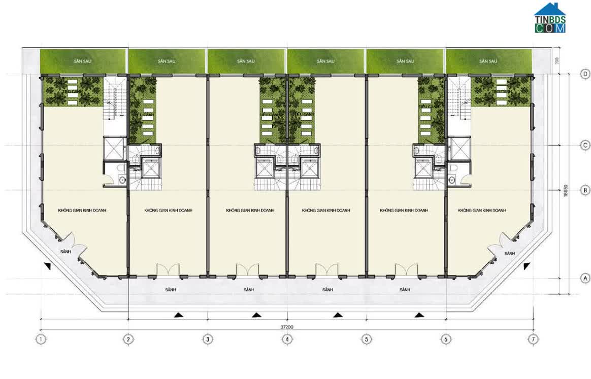 Ảnh Alluvia City 23