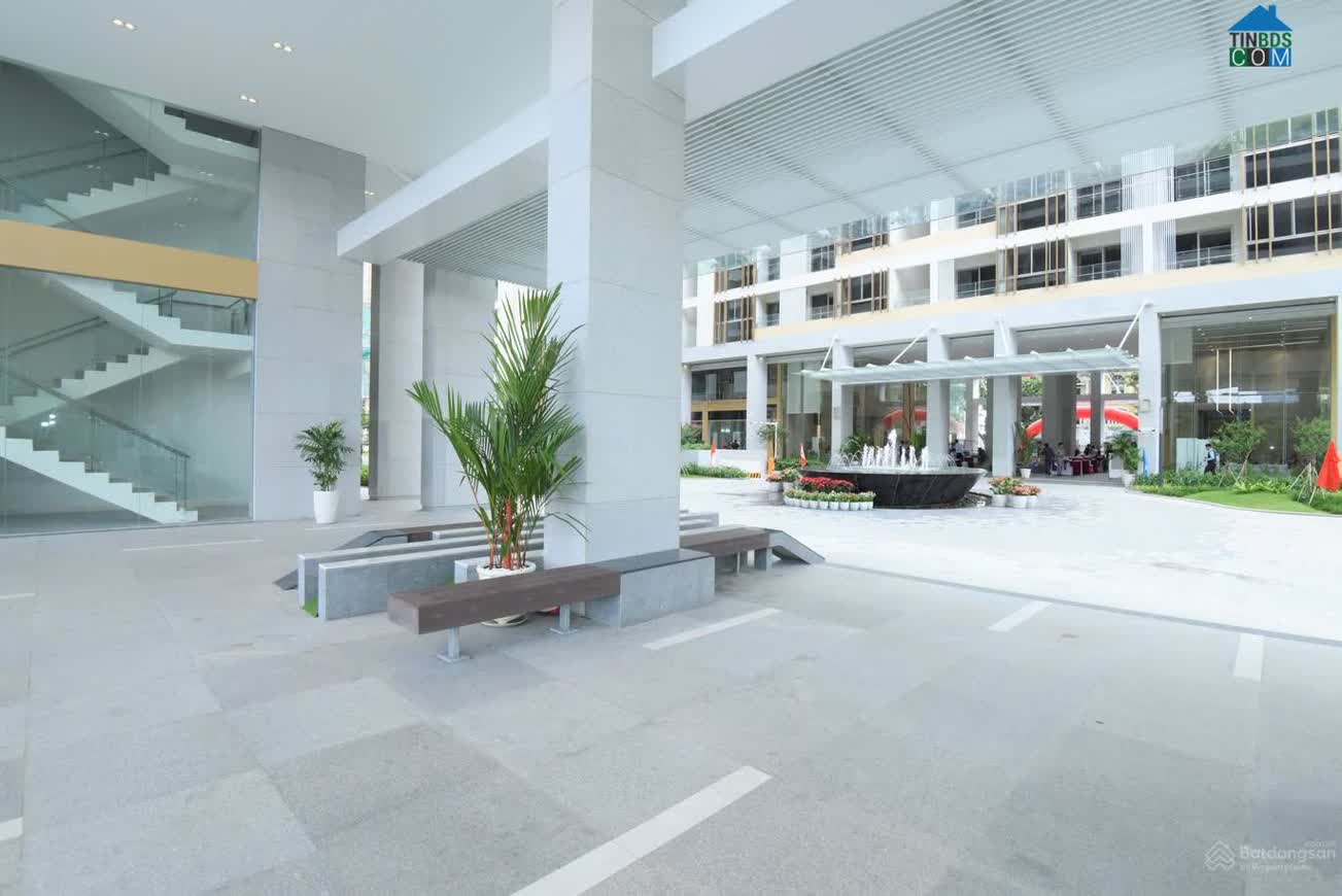 Ảnh The Symphony 25