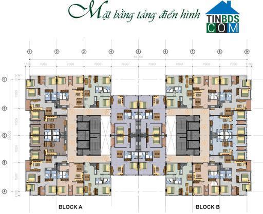 Ảnh dự án Sài Gòn Apartment