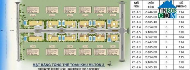 Ảnh dự án Milton Pathway