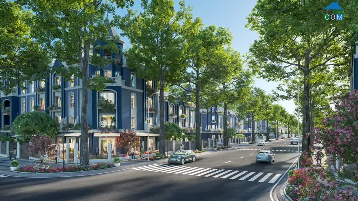 Ảnh Eurowindow Central Avenue 3