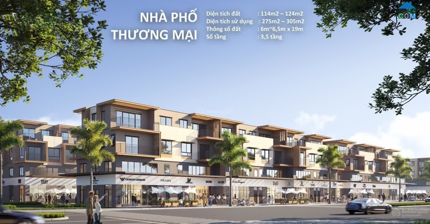 Ảnh Izumi Canaria 3